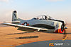 IMG_6328M_800.jpg