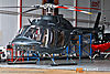 IMG_6402M2_800.jpg