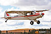 IMG_6405m_800_copy.jpg