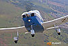 IMG_6416M_800.jpg
