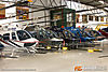 IMG_6436m_800_copy.jpg