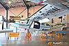 IMG_6482M_800.jpg