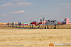 IMG_6517m_800_copy.jpg