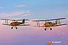 IMG_6519m3_800_copy.jpg
