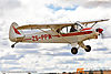 IMG_6524m_800_copy.jpg