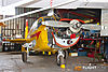 IMG_6537M_800.jpg