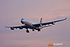 IMG_6542m_800.jpg