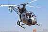 IMG_6641m_8001.jpg