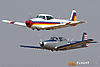 IMG_6665m_8001.jpg
