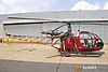 IMG_6707m_8002.jpg