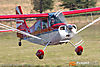 IMG_6730m_800_copy.jpg