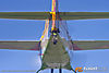 IMG_6992M_800.jpg
