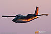 IMG_7095m_800.jpg