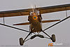 IMG_7163mm_800.jpg