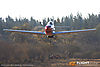 IMG_7171m_800-2.jpg