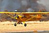 IMG_7211M_800.jpg
