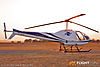 IMG_7223M_800_copy1.jpg