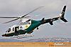 IMG_7223m_800_copy.jpg