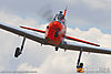 IMG_7279m_800.jpg