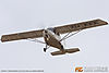 IMG_7298M_800.jpg