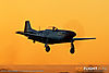 IMG_7347M2_800.jpg