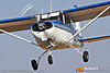 IMG_7374m_8002.jpg
