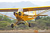 IMG_7399m_8001.jpg