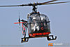 IMG_7419m_8001.jpg