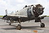 IMG_7442m_800.jpg