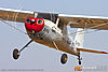 IMG_7487m_800.jpg