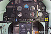 IMG_7509M_800_copy1.jpg
