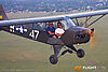 IMG_7590M_800_copy.jpg