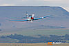 IMG_7675m_800_copy.jpg
