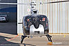 IMG_7685m2_800.jpg