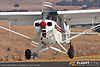 IMG_7696m_8001.jpg