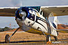 IMG_7728m_800_copy.jpg
