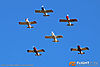 IMG_7777M_800.jpg