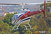 IMG_7815M_800_copy.jpg