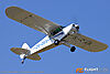 IMG_7872M_800.jpg