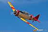 IMG_7879m_800_copy.jpg