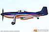 IMG_7942m2_800.jpg