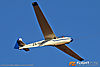 IMG_7964m_800.jpg
