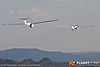 IMG_7970M_800.jpg