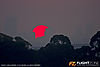 IMG_7994M_800.jpg