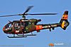 IMG_8047m_800.jpg
