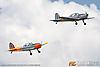 IMG_8057m_8001.jpg