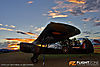 IMG_8085M_800_copy.jpg