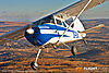 IMG_8099m_800_copy.jpg