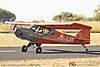 IMG_8106m_8001.jpg