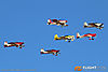 IMG_8148m_800.jpg